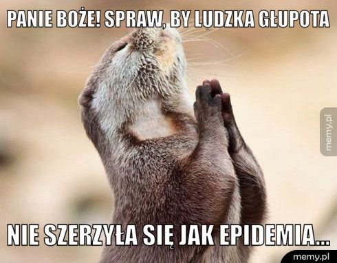 PANIE BOŻE! SPRAW, BY LUDZKA GŁUPOTA NIE SZERZYŁA SIĘ JAK EPIDEMIA...