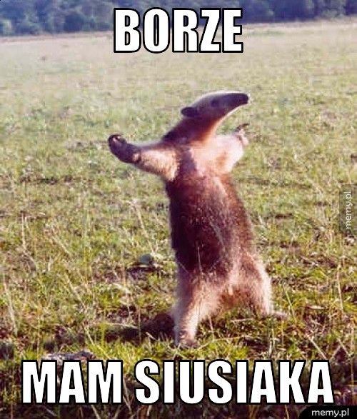 borze mam siusiaka