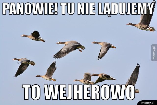 PANOWIE! TU NIE LĄDUJEMY TO WEJHEROWO