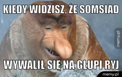 Kiedy widzisz, że somsiad wywalił się na głupi ryj