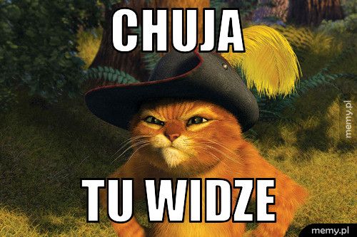 chuja tu widze