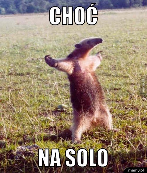 choć na solo