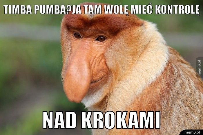 tiMBA PUMBA?ja tam wolę mieć kontROLĘ NAD KROKAMI