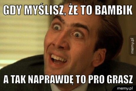Gdy myślisz, że to bambik A tak naprawdę to pro grasz