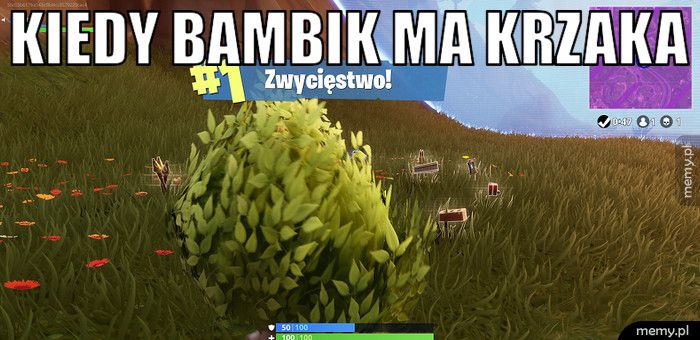 Kiedy Bambik ma krzaka 