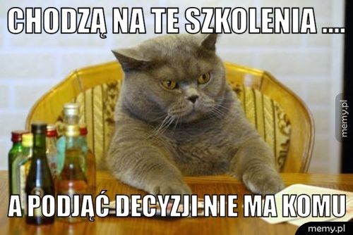 chodzą na te szkolenia .... a podjąć decyzji nie ma komu