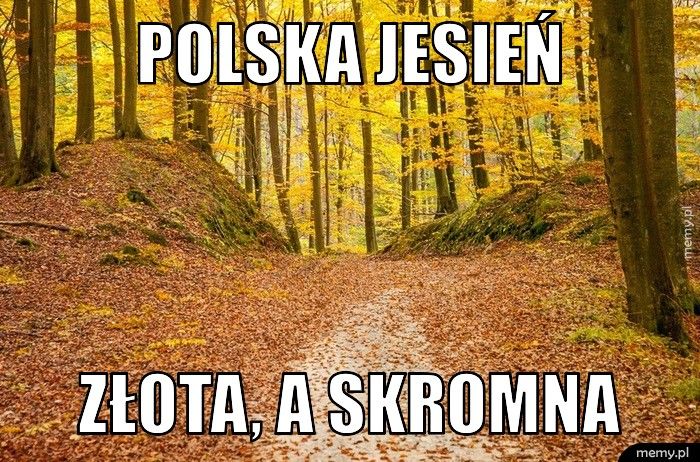 Polska jesień złota, a skromna