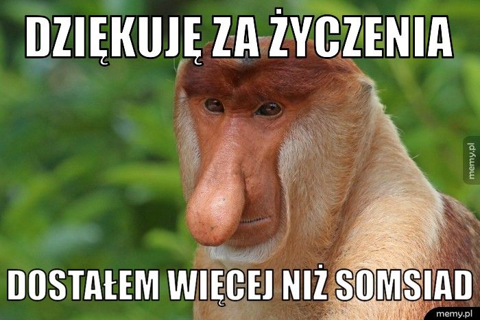 Dziękuję za życzenia  Dostałem więcej niż somsiad
