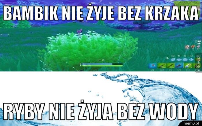 bambik nie żyje bez krzaka ryby nie żyja bez wody