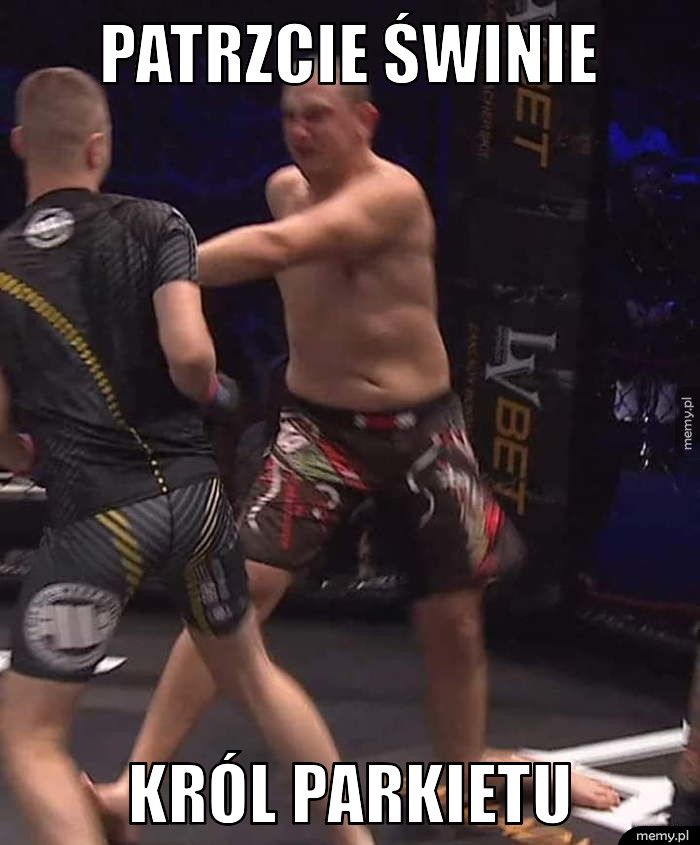 Patrzcie świnie  Król parkietu