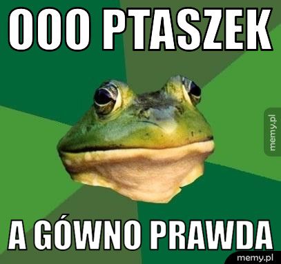 Ooo ptaszek a gówno prawda