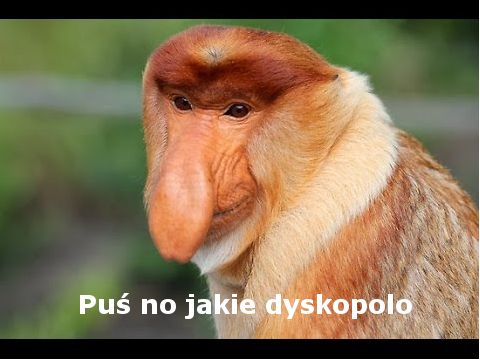 Dyskopolo