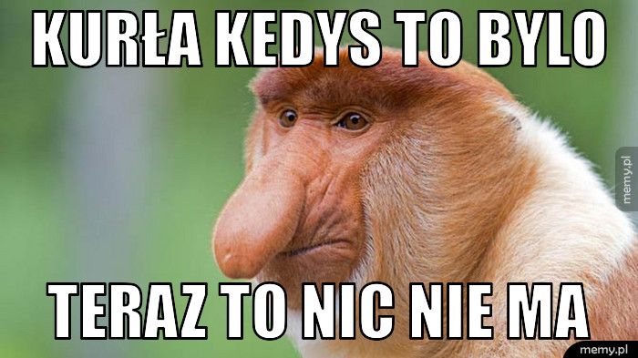 Kurła kedys to bylo teraz to nic nie ma