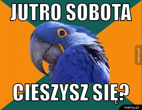 Jutro sobota Cieszysz się?