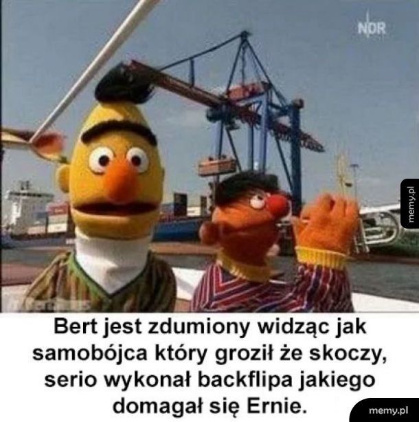 Bert jest pod wielkim wrażeniem