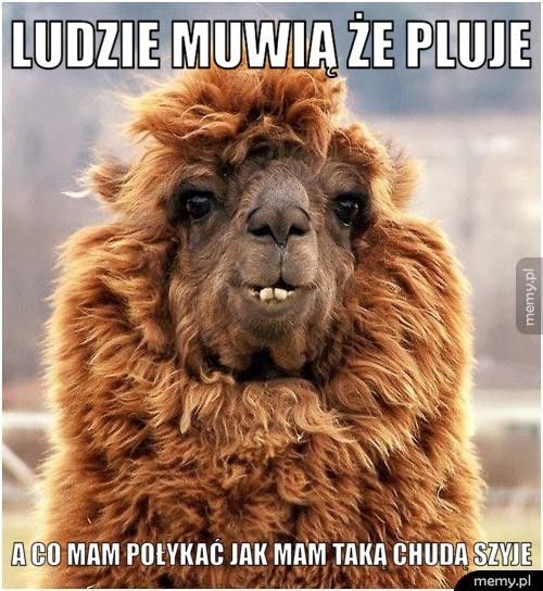 Ludzie muwią że pluje A co mam połykać jak mam taką chudą szyje