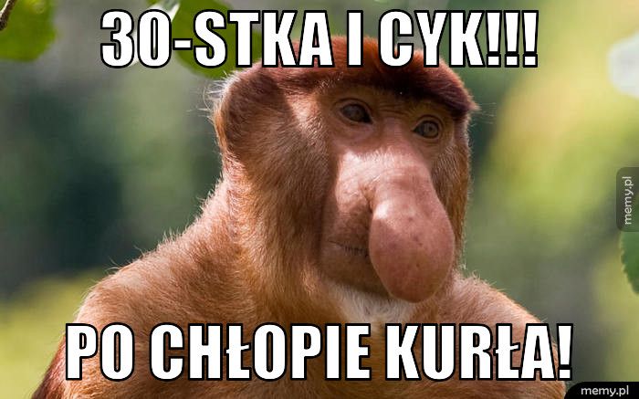 30-stka i cyk!!!  Po chłopie kurła!
