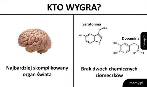 Mózg vs chemiczne ziomeczki