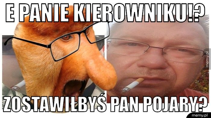 E Panie kierowniku!?  Zostawiłbyś Pan pojary? 