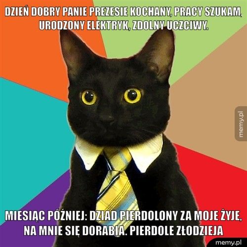 Dzień dobry Panie prezesie kochany, pracy szukam, urodzony elekt Miesiąc później: Dziad pierdolony za moje żyje, na mnie się dora