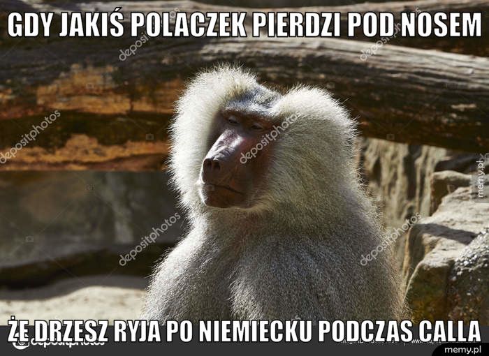 Gdy jakiś polaczek pierdzi pod nosem Że drzesz ryja po niemiecku podczas calla