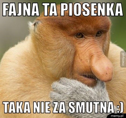Fajna ta piosenka taka nie za smutna :)