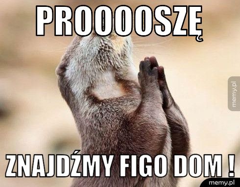 Prooooszę  znajdźmy Figo dom !