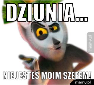 Dziunia... nie jesteś moim szefem!