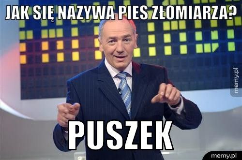 JAK SIĘ NAZYWA PIES ZŁOMIARZA? PUSZEK