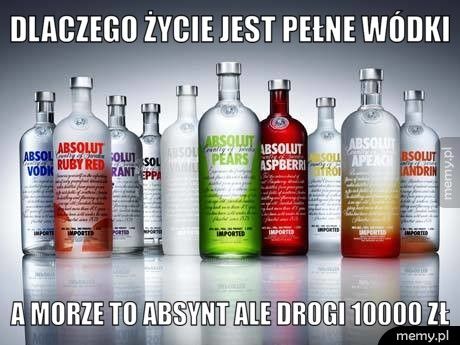 dlaczego życie jest pełne wódki a morze to absynt ale drogi 10000 zł