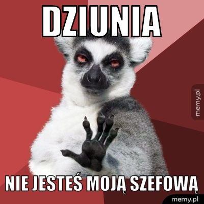 Dziunia nie jesteś moją szefową