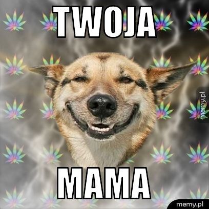 TWOJA   MAMA