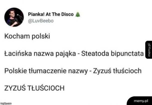 Polski język piękny język