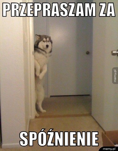 PRZEPRASZAM ZA SPÓŹNIENIE 