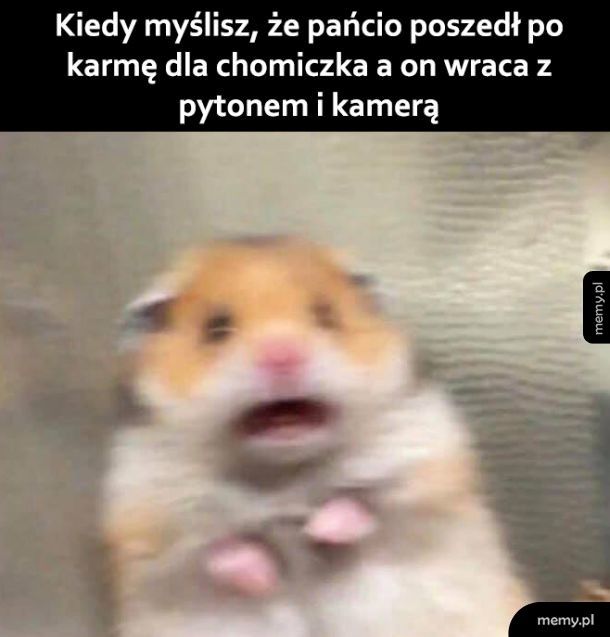 Co ty robisz człowieku