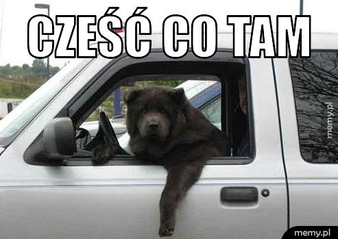 cześć co tam 