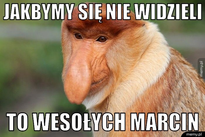 jakbymy się nie widzieli to wesołych Marcin