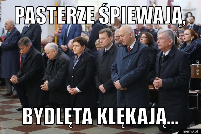 Pasterze śpiewają, bydlęta klękają...
