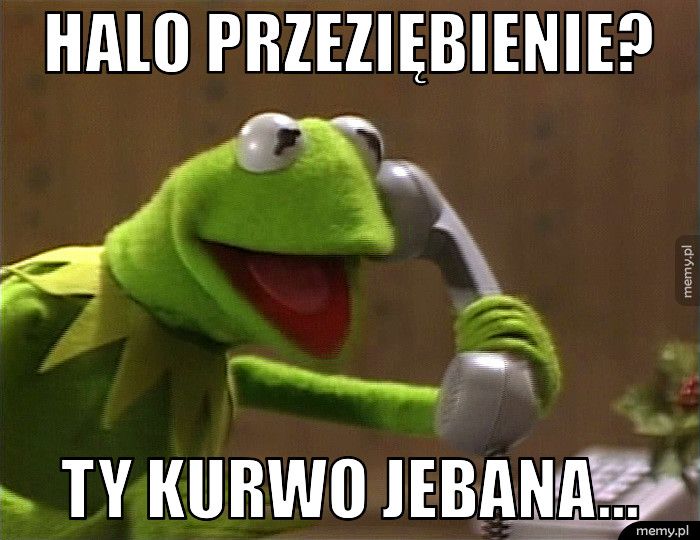 HALO PRZEZIĘBIENIE? TY KURWO JEBANA...