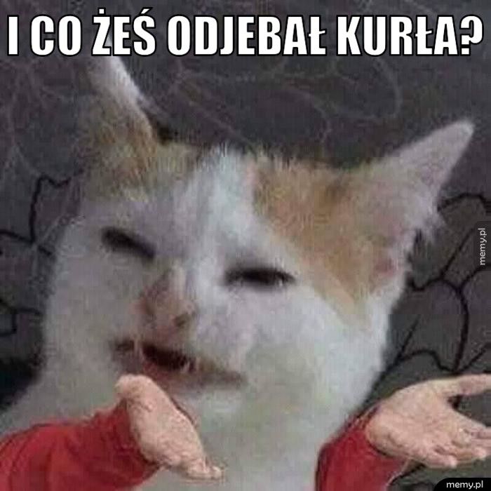 I CO ŻEŚ ODJEBAŁ KURŁA? 