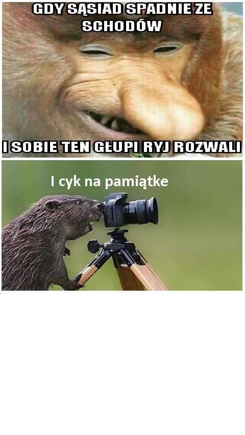 somsiad