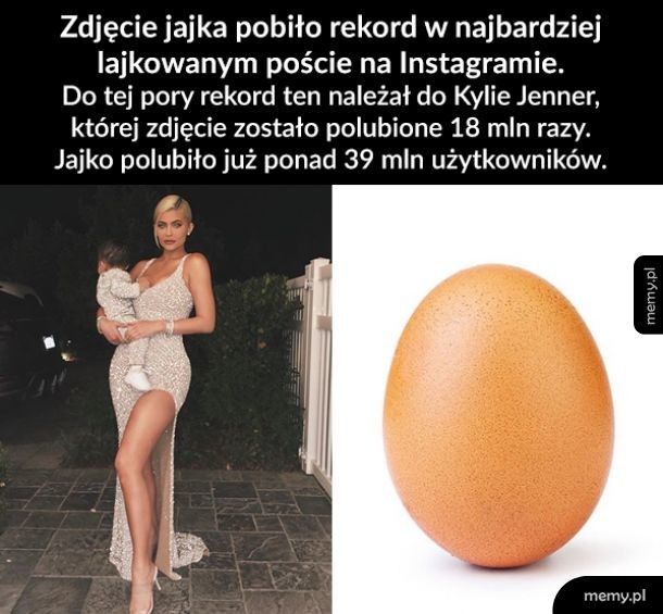 Rekordowe jajo