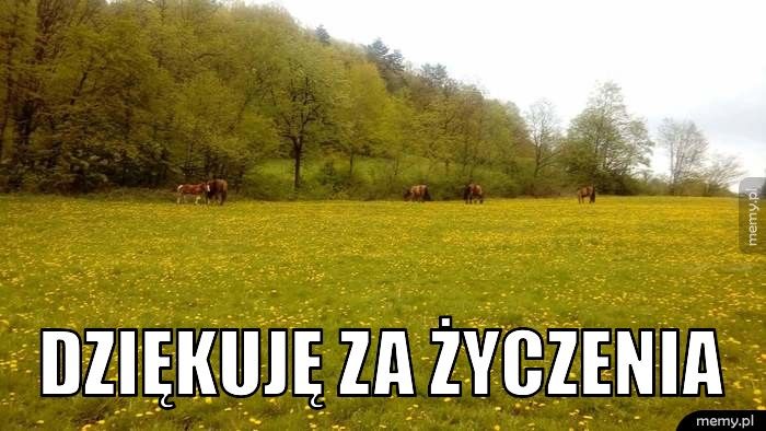  DZIĘKUJĘ ZA ŻYCZENIA