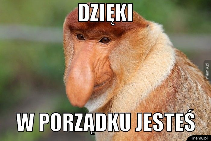 Dzięki w porządku jesteś