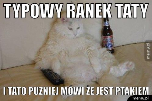 typowy ranek taty i tato puzniej mówi że jest ptakiem