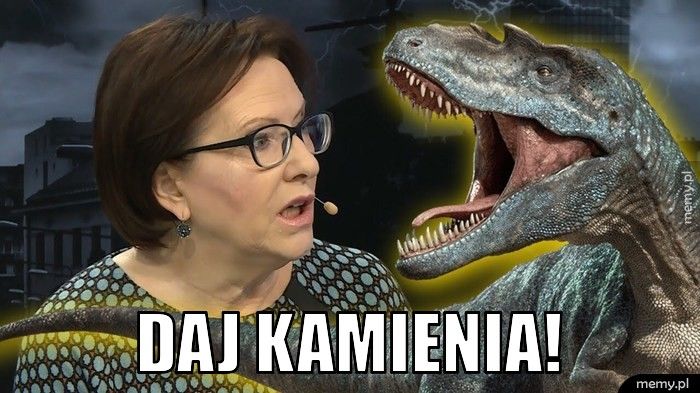  daj kamienia!