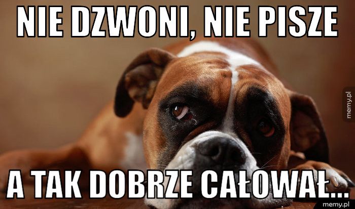Nie dzwoni, nie pisze A tak dobrze całował... 