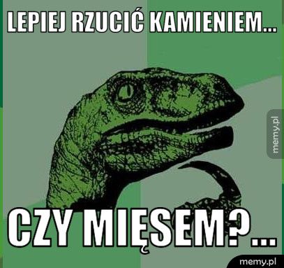 LEPIEJ RZUCIĆ KAMIENIEM... CZY MIĘSEM?...