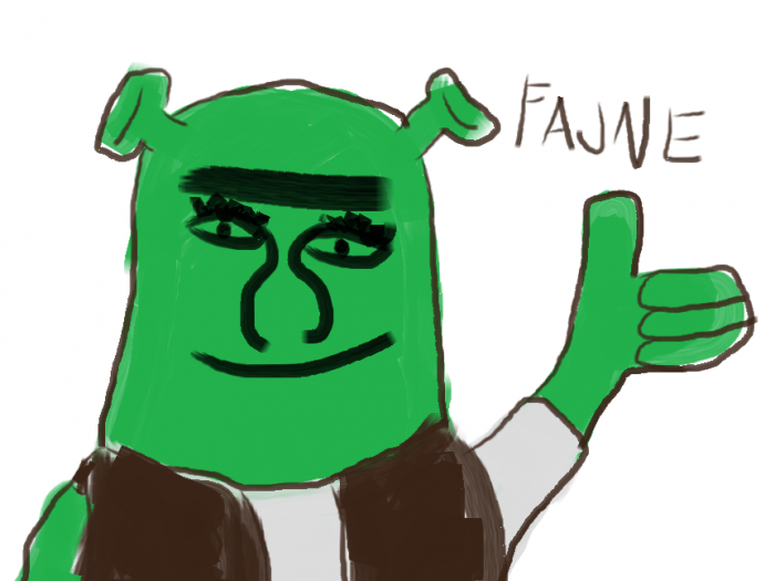 Fajne mem shrek
