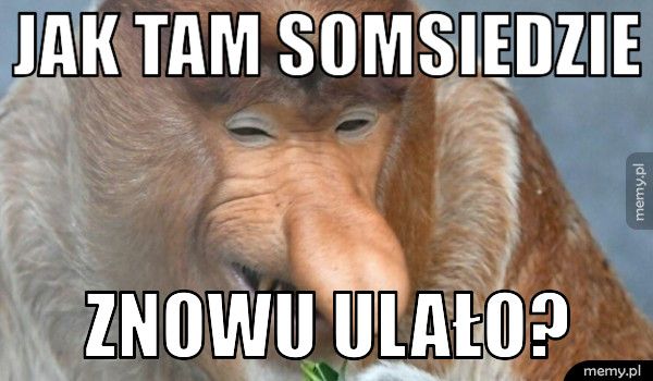jak tam somsiedzie znowu ulało?